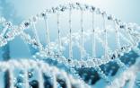 Nature子刊：中国团队完成汉族人群MHC遗传变异图谱