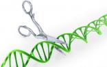 王大元：CRISPR/Cas9专利保护先天不足