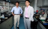 上了Science！ 中国团队首揭寨卡病毒致新生儿缺陷根源