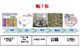 程玉华：引领中国酶工程进展的奠基人