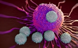 Nature：癌症患者如何响应免疫疗法？首个可预测数学模型诞生！