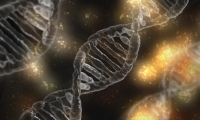 Science关注：全球第二昂贵的基因治疗药物试验因两名患者患癌而被终止