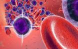 Science：新药物颠覆白血病“治疗模式”
