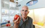 石榴+肠道菌=延长寿命？Nature子刊揭示抗衰老新公式