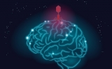 病毒引发阿尔兹海默症？一场新的致病机理争论 | Cell子刊