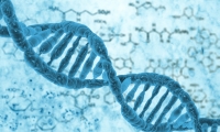 我国科学家发现新致聋基因