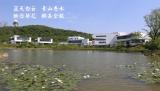 醉美“景区范”药谷