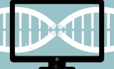  遗传分析走向大众：计算生物学家为分析解释遗传测序数据开发平台