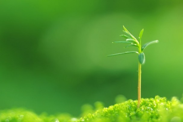 杭州-临床试验用药GMP制度要点解析及应用实施专题培训班”的通知