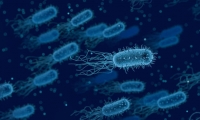 Science：粪便移植助力癌症免疫治疗，让治疗无效的患者产生应答