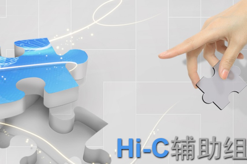 2018开年大餐，我们教你如何炼成Hi-C辅助组装的“陈独秀”