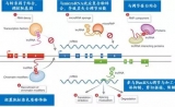 双12还剁手？科研礼包免费送~