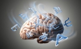 Science惊人发现：调节大脑一个简单化合物，让你像孩子一样轻松学习语言
