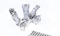 生物打印技术取得突破性成果，可在数秒内构建复杂人体器官
