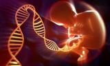 Science子刊：巴氏涂片，无创产前基因检测的新突破点！
