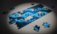 Nature发布首个人类X染色体完成图，开启基因组学研究新纪元