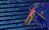 Nature子刊：新研究揭示BRCA癌细胞最后的“生存策略”