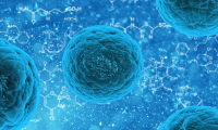 Science：“监听”细菌对话，体细胞与细菌“军备竞赛”的又一进化策略