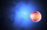  Science子刊：皮肤细胞“变”配子产后代，颠覆性技术的前方是什么？