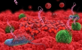Science证实：细菌会伴随肿瘤的转移而转移！