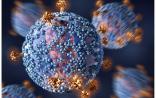Nature子刊：HIV将无处隐藏？科学家发现病毒“阻击手”