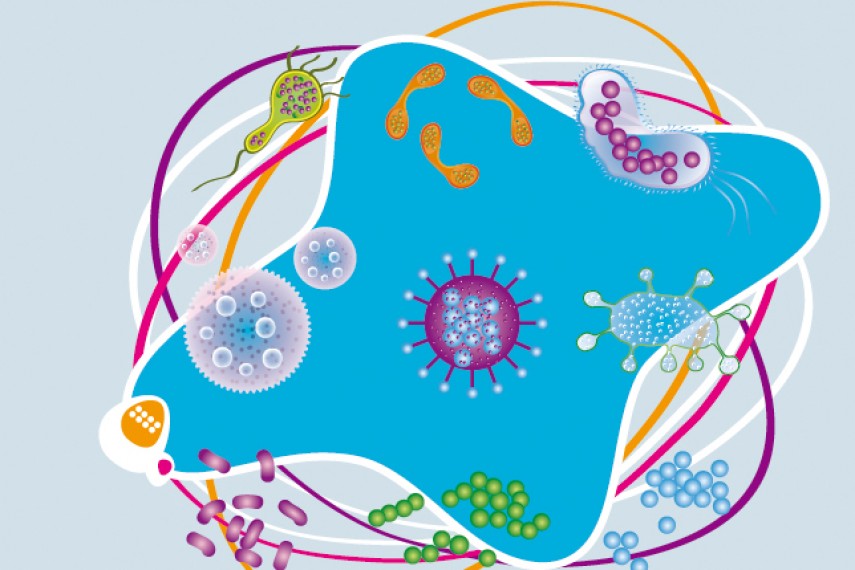 见微知著 | 史上最全的微生物研究取样攻略