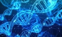 穷不仅影响健康，还会改变基因，多达8%！