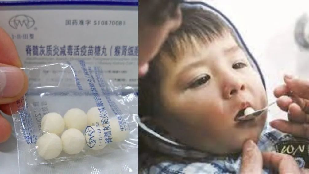 图2 脊髓灰质炎活疫苗糖丸(图源:知乎日报)2019年1月2日,顾方舟在北京
