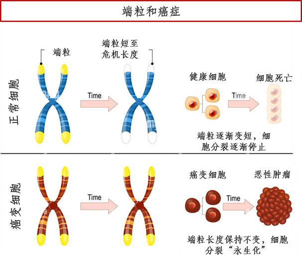 微信图片_20230213120027.png