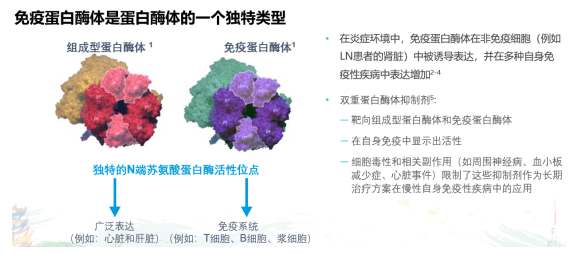 中华医学会风湿病学学术会议近日召开    云顶新耀同类首创药物泽托佐米用于治疗狼疮性肾炎的进展引发与会专家广泛关注