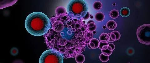 发现罕见癌症特异性T细胞