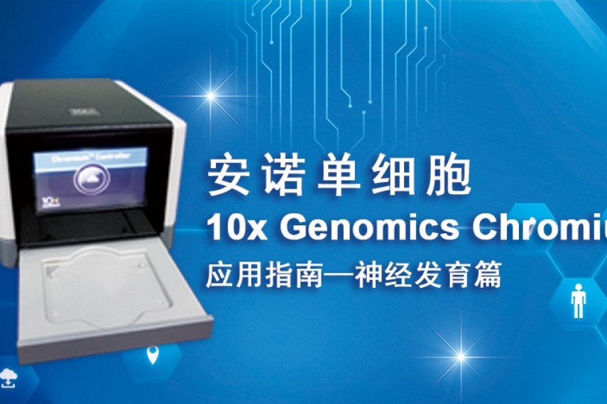 安诺单细胞10x Genomics应用指南-神经发育篇