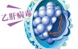 【收藏】全球乙肝药物研发管线