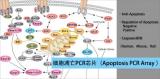 细胞凋亡PCR芯片（Apoptosis PCR Array）技术服务（促销）