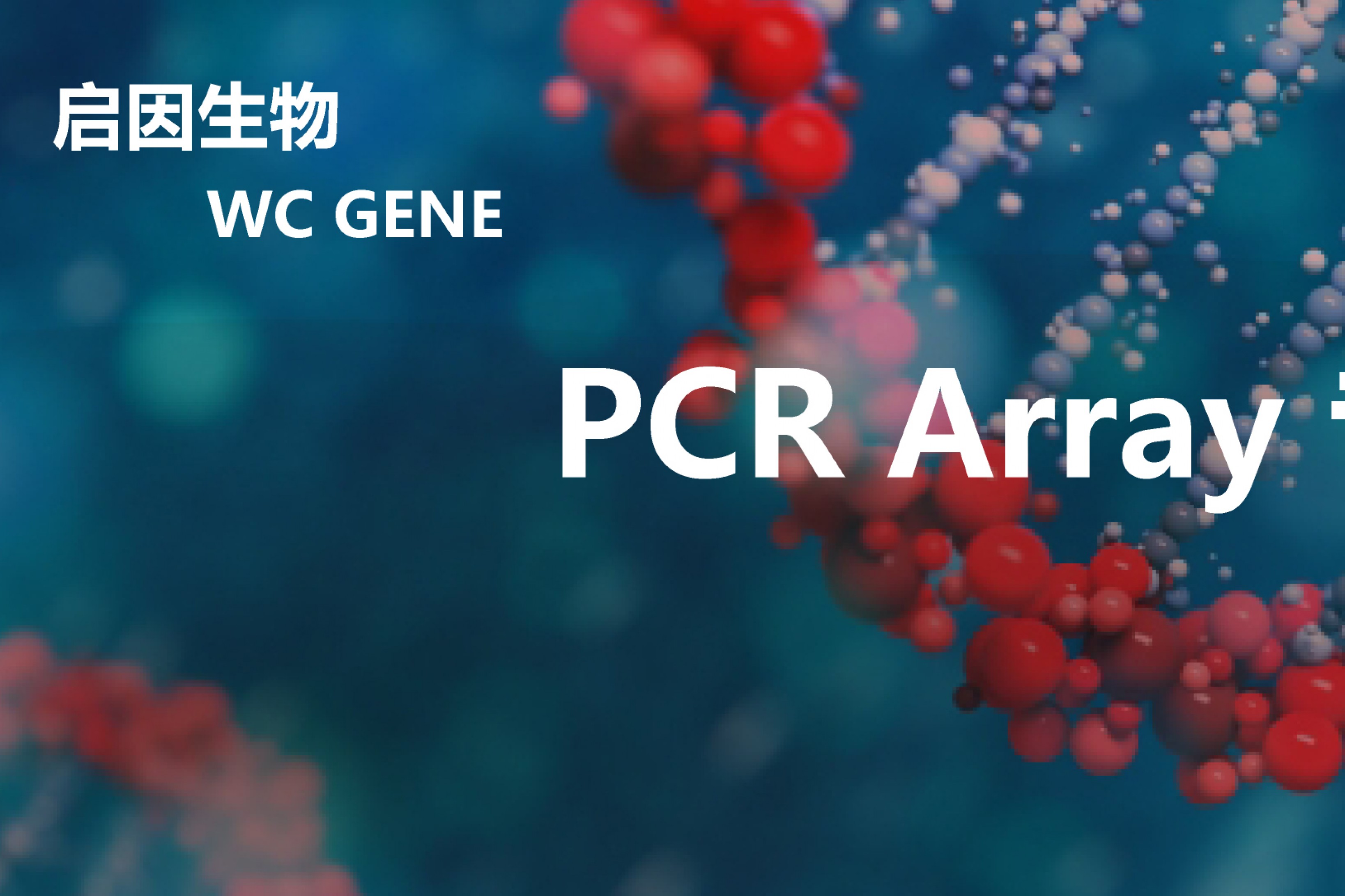 毒力因子qPCR检测 virulence factors qPCR array