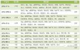 自身抗体联合检测——诊断系统性红斑狼疮