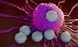 Cell:免疫疗法不起效？化疗药物来助攻！