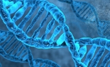 Science：人类癌症病理图谱重磅发布