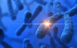 如何找对有益的基因突变？Science有新招