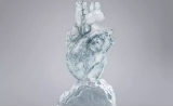 15分钟冷却全身血液：心跳骤停时，这种方法能挽救生命？