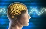 JoCN：科学家利用新技术检测脑波