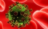 10种欧洲最“前卫”的抗HIV病毒疗法