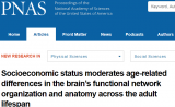 PNAS：成人大脑受“金钱”影响，社会经济地位低或更易患痴呆