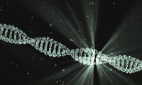【7.16 讲座直播】孔祥东：纳米孔测序技术在结构变异中的检测与应用