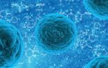 日本首个异体干细胞治疗药诞生！