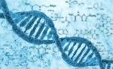 科学家们竟然用DNA攻击了一台计算机！