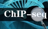 做ChIP-seq前，这些功课您做了吗？
