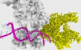 三位著名华人科学家联手合作 Nature发布首发性成果