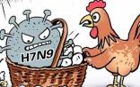 【新华社】问与答：H7N9禽流感病毒什么来头