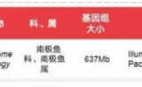 当海洋生物基因组科研遇上三代测序--革首南极鱼（南极抗冻鱼）